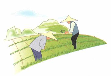 春分——天门开户,顺势养阳正当时