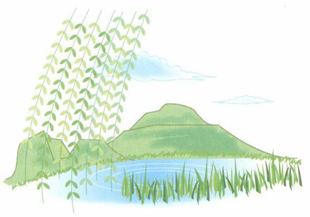 立夏——养护心脏,多饮汤水防心火