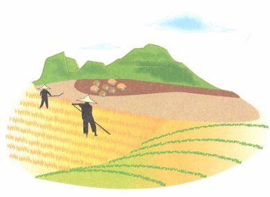 立秋——益肺生津,养收顺天地秋气
