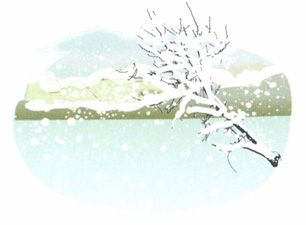 大雪——温补避寒,驱寒保暖有讲究