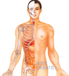 痔疮的穴位按摩疗法