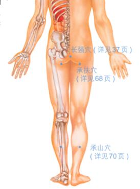 痔疮的穴位按摩疗法