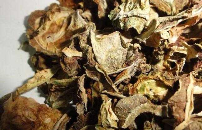 苦瓜片泡水喝有什么好处?