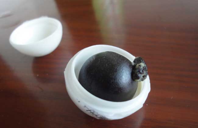 牛黄上清丸的功效与作用