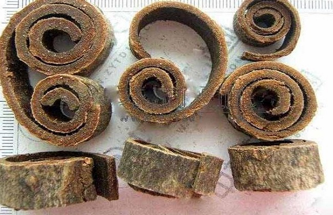 厚朴的功效与作用