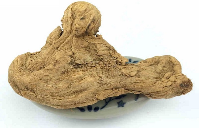 中药炮姜的功效与作用