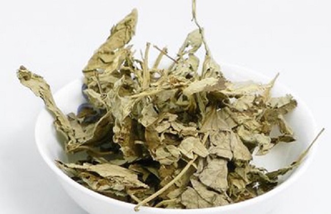 艾叶的食用禁忌