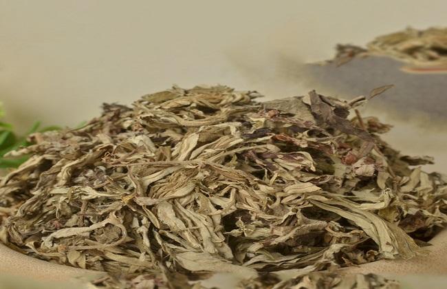 艾叶的食用禁忌