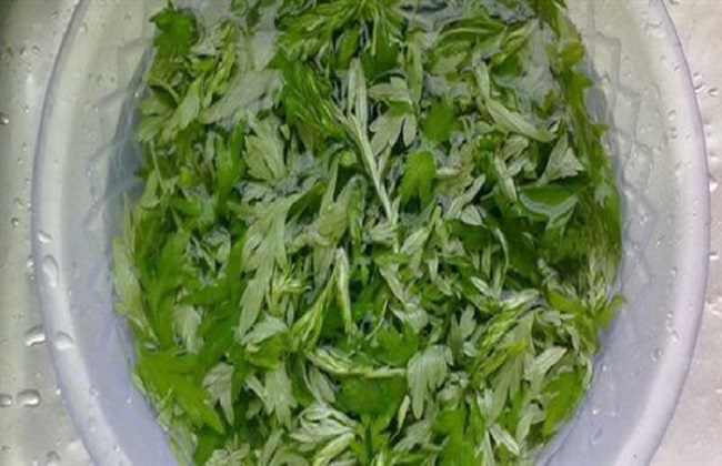 艾叶的食用禁忌