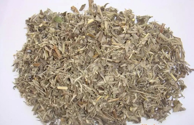艾叶的食用禁忌